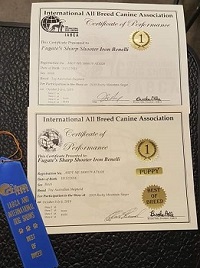 Best of Breed IABCA show Greeley co