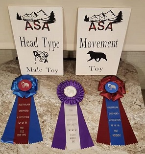 Res Winners Dog, Best Head, Best Movement ASA Greeley CO