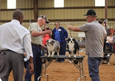 2021 Showdown for Best Male with favorite competitor.  Derrin won this time.