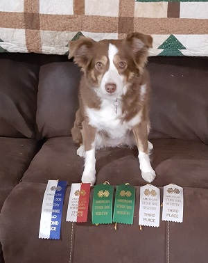 Remi's winnings in Kentudky