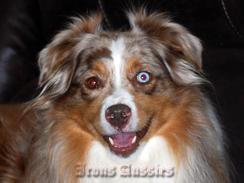 3M Pistol Pete is such a pretty boy.