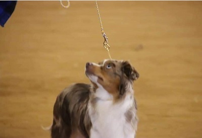 2021 Jake in Rally in Missouri